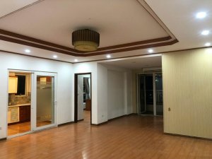 Cho thuê căn hộ Trung Hòa Nhân Chính N05 Hoàng Đạo Thúy, 160m², 3 ngủ, đồ cơ bản, giá 19 triệu.